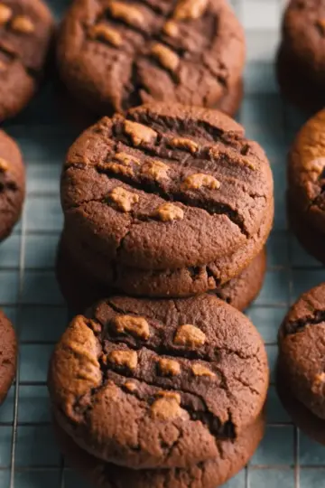 Chocolate Peanut Butter Cookies