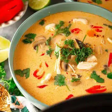 Crockpot Thai Coconut Chicken Soup