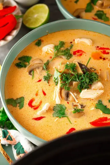 Crockpot Thai Coconut Chicken Soup