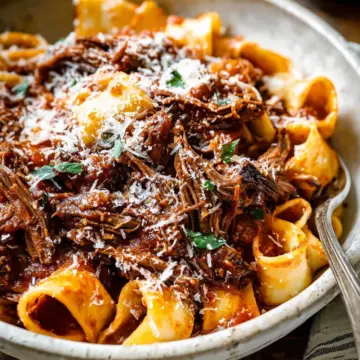 Short Rib Ragu