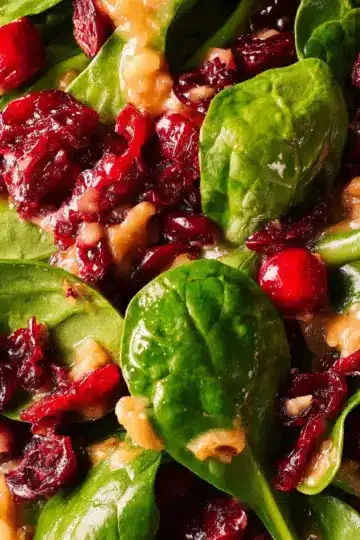 Cranberry and Spinach Salad