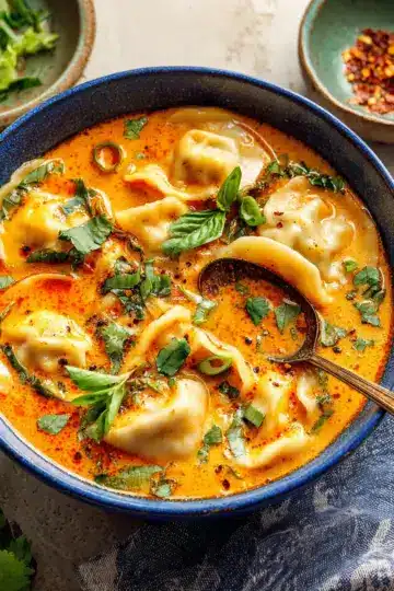 Red Curry Dumpling Soup